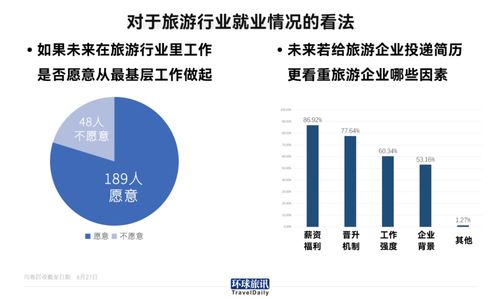 一個專業與另一面 旅游專業畢業生為何拋開行囊轉投他業